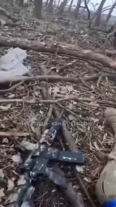 ������ �������: ������������ � ��������� �������� ��� ��������� �� �� � ������ ��������