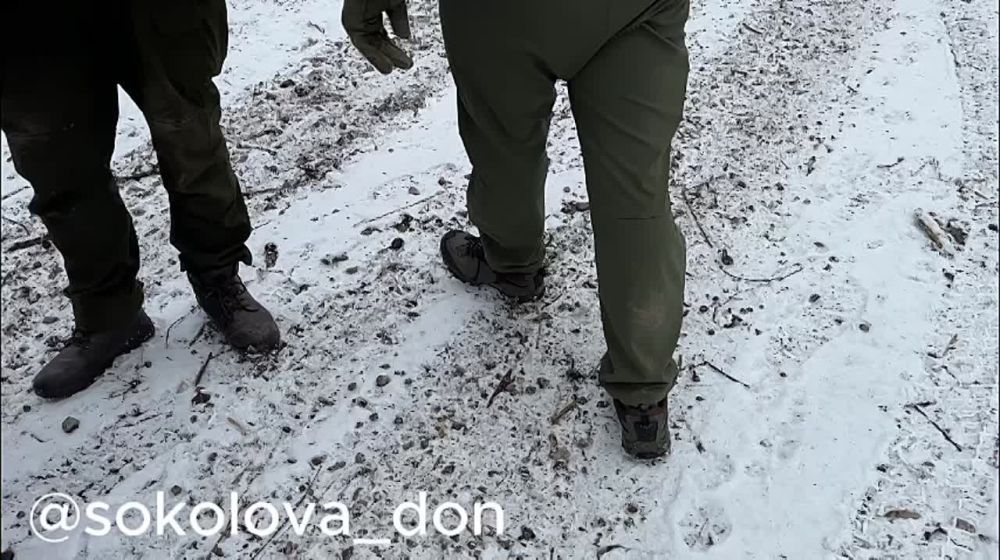 - �������� ������ ���� �� ��������?
