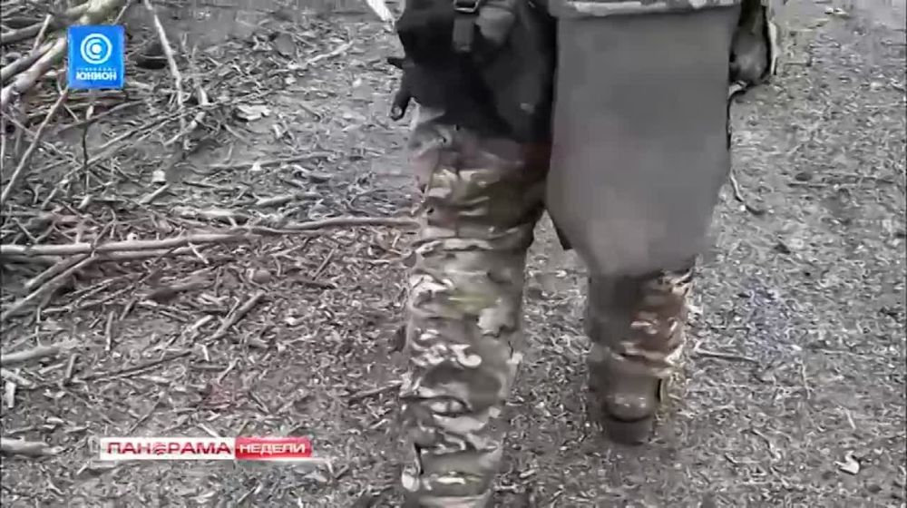 Сафари на людей в Авдеевке