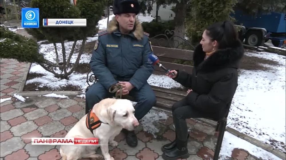 Он чувствует жизнь под толщей бетона