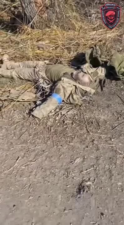 ����� �����: ������� �� �������� � �������� ��������� ��������� �� ���������� � ���������� �� ����������� ������