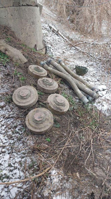 ������� ���������: ���� � ����� �� ������ ���������� �������� ��� ������������� "������" �� ���