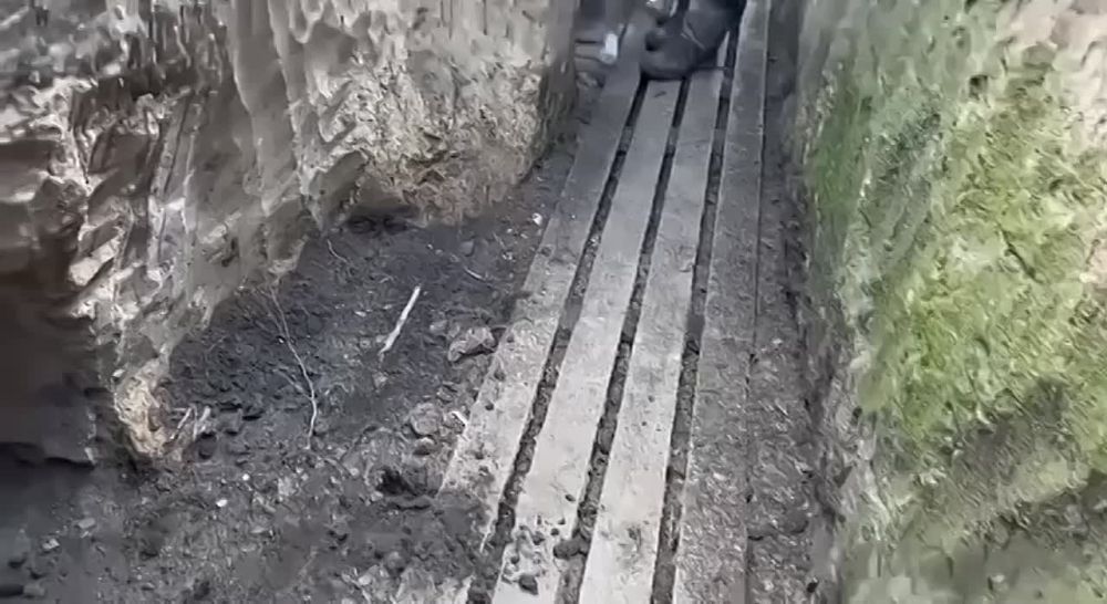 ������ ������� � ������ ���� ��������!