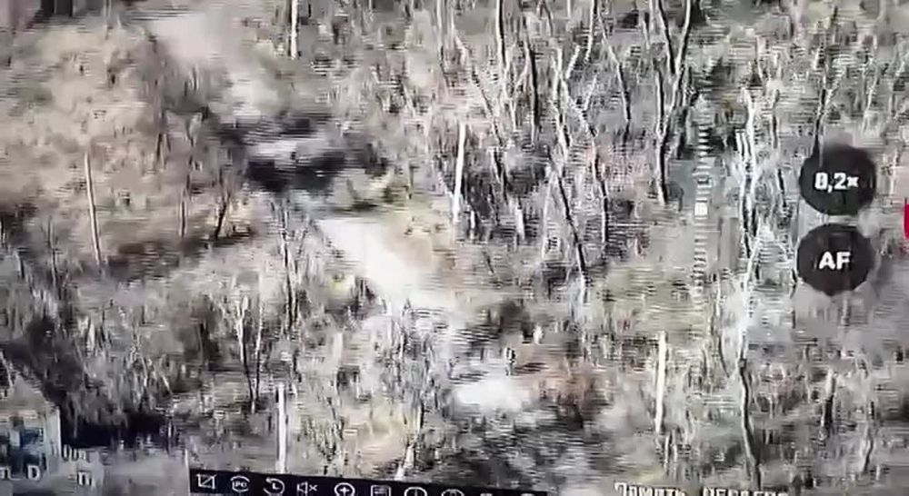 ����� �������� ��������� ������� 1-� ���������� �������