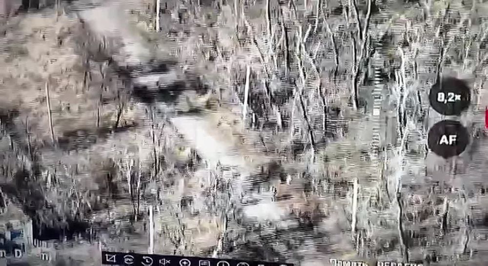 �������� ����! 1-� ���������� ������� ������ ���: ����� ��������