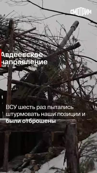 ������� ������� ����� ���: