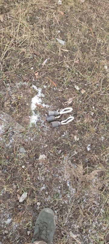 ������� ���������: ������������� ������������ ��������� 155�� �������� � ����������� ��������������� ����