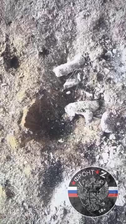 ���������. ������ ��� ������� �������� � ������ � ����� ������
