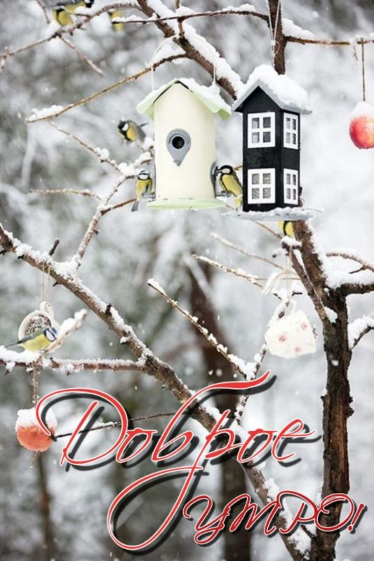 ������ �������: ������ ������� ������������