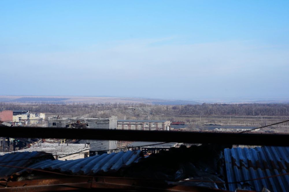 ������ �������: �������� ������. ������� 2024