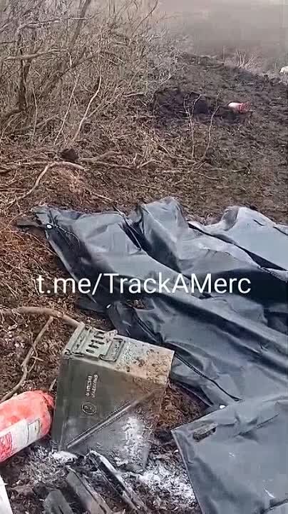 ������ �� ������������ ��������� TracAMerc ��������, ��� � ����������� ���� 23 ������� � ���������� ��������� ������� �� ��������� ��� � �������� � ������� �������� ����� ������ �������� �� ��������
