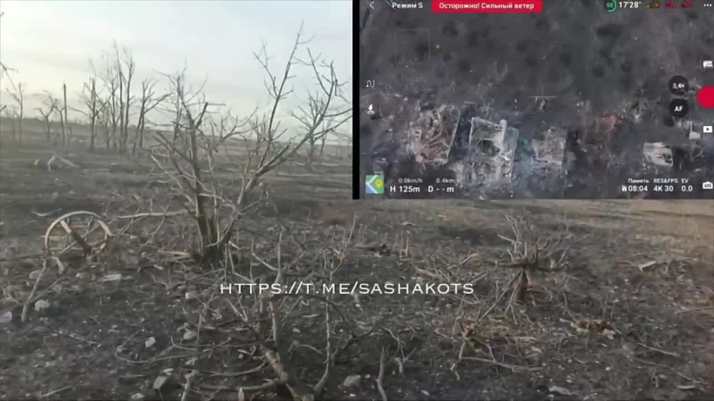 ��������� ���: �������� - ����! ���������