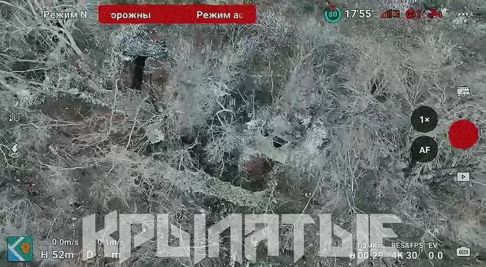 ����������� �����������