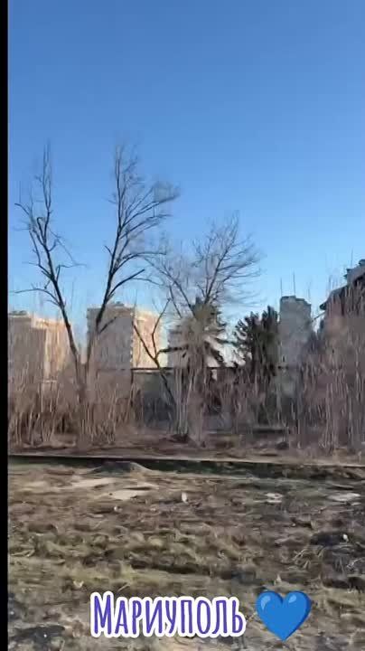 ������ �������: ��������� ��������������� �������� �������