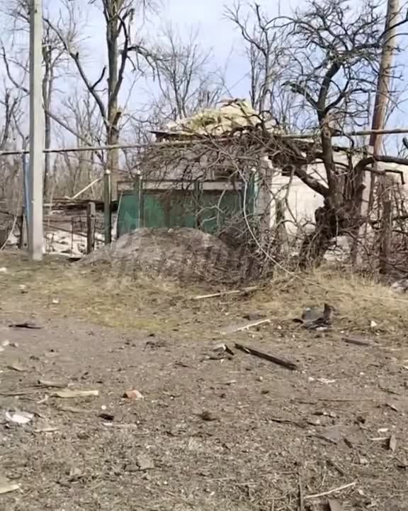 ������� ����� �������� ��������� �������� �� ���������� ����������� � ���������� � �������� ������� � ���������� ��� �������� �� ��