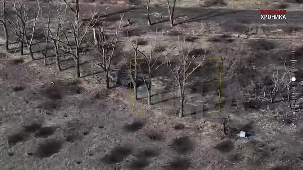    .           Leopard 2A4,        