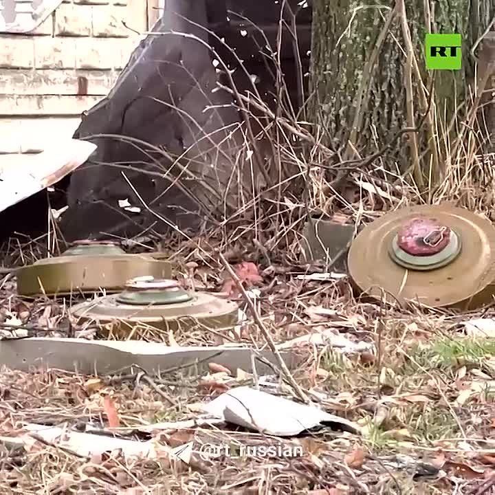 ������� ����������� �� ���������� (���) � ������ ����� �� ������������� ������