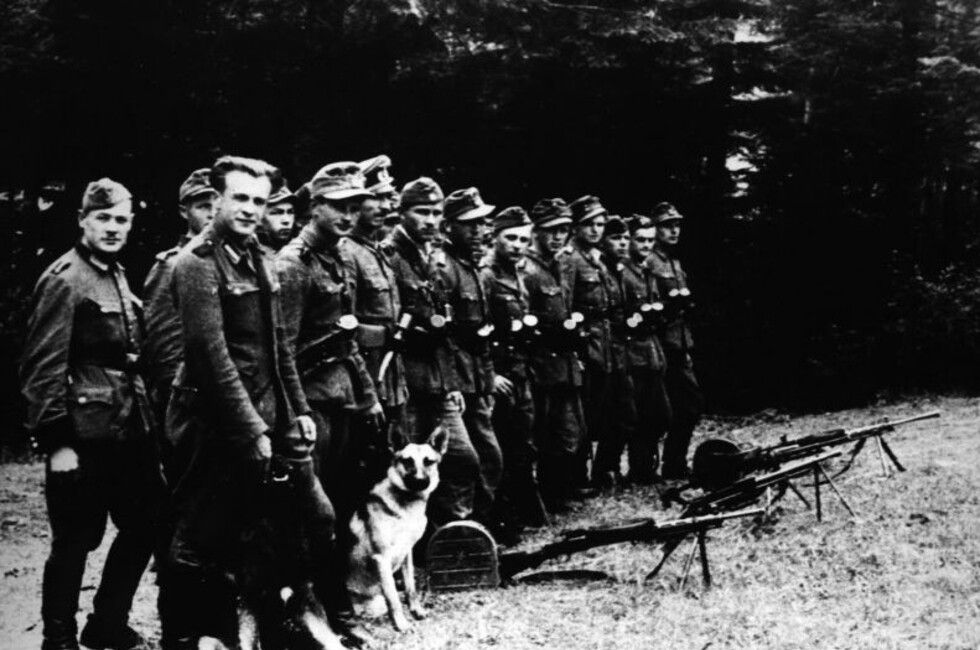 ������ �������� � ��������, ��������� � ���������� �� �������