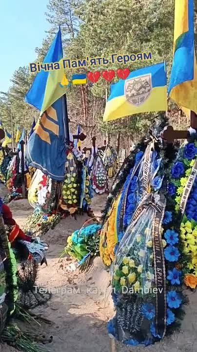 ������ �������: ������ �������� �����. "�����������" � ������������ ����������� � �������� ������� ���������� ������������