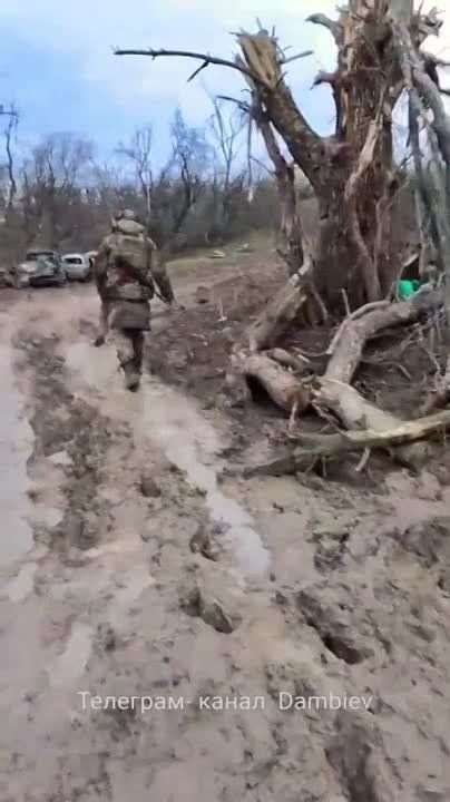 ������ �������: ������������ ������������� ���������� ������������ �� ����� �� �����, ������� �� ���������� � ����� ��