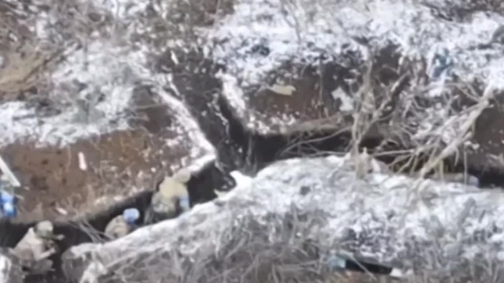 ������ �������: ����������� ������� � ������� ������� ���������� �� �������� �����������