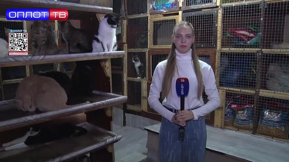 «Всё своими силами»