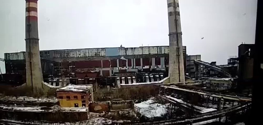 ������ ����������: ���������� ������ ������� ������ ���� �� ��� � ��������