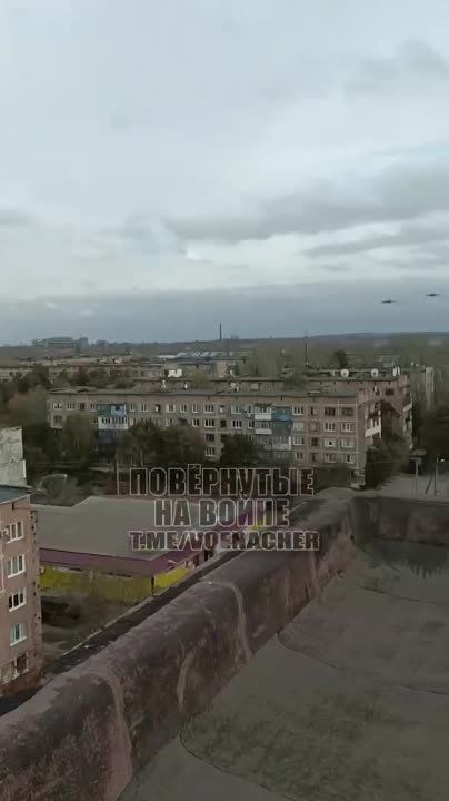 �� ���� ����� � ���� �� ������� ������� ����������� ������� ����� ������!