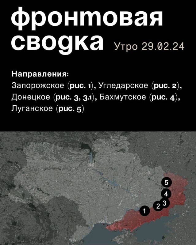 WarGonzo: ��������� ������ �� ���� 29.02.2024