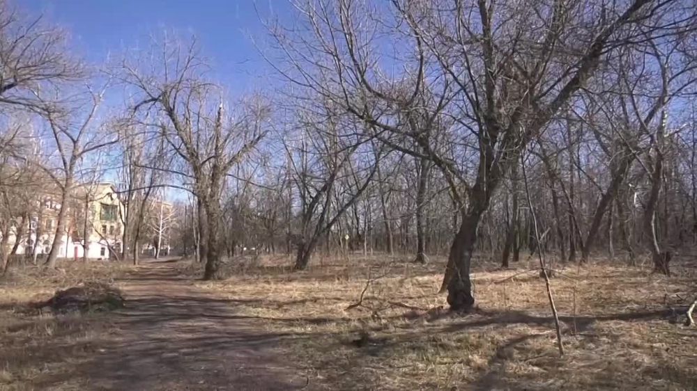 Проголосовать за территории для благоустройства в рамках проекта «Формирования комфортной городской среды» торезцы смогут уже весной