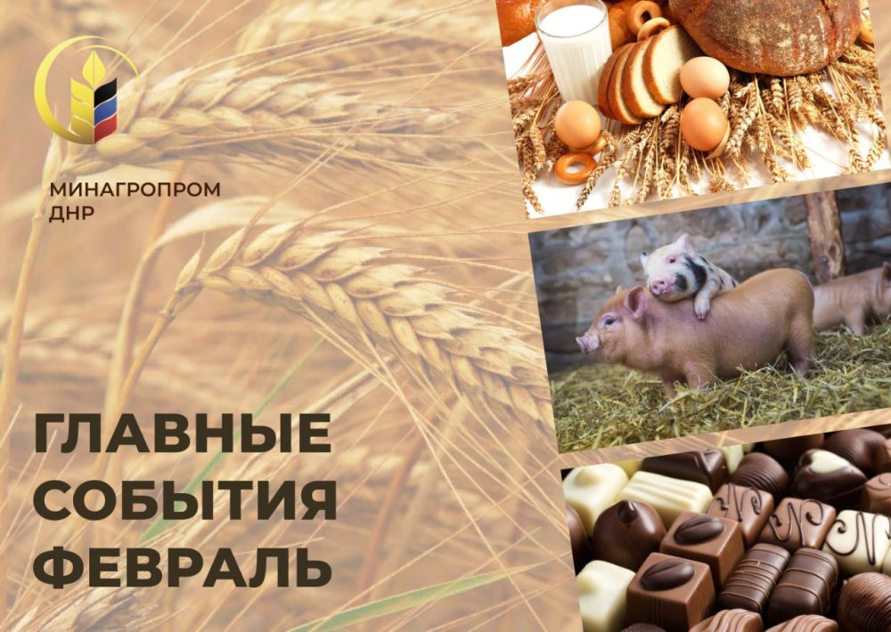 ����� ���������� ������ ������� � ������������ � �. ����������