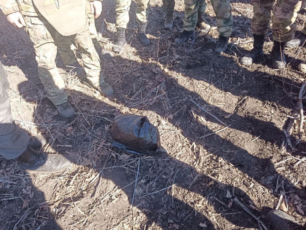 �������� � ����� ���������, � �������� ��� � �������