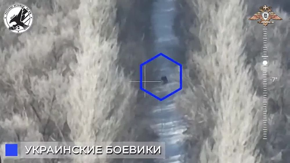 ���� �������� ��� ���������� ������ ���������� FPV �����