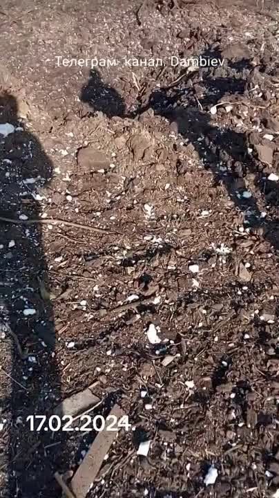 ������ �������: ������� � ���� �� ����������� ������� ��������� ��� � ������������� ������� ������������ � ��������� (����) �� ������ ��������� ���������� ���������� ������������ � �.�. ����� �� �� ����������� �����������