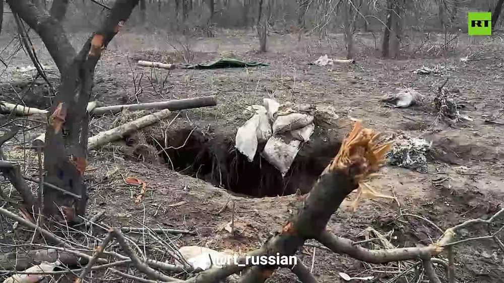 ������� RT ��������� ������� @yaremshooter ������� ������� ����� � �������� � ����� ����� ����������� ������������ ������