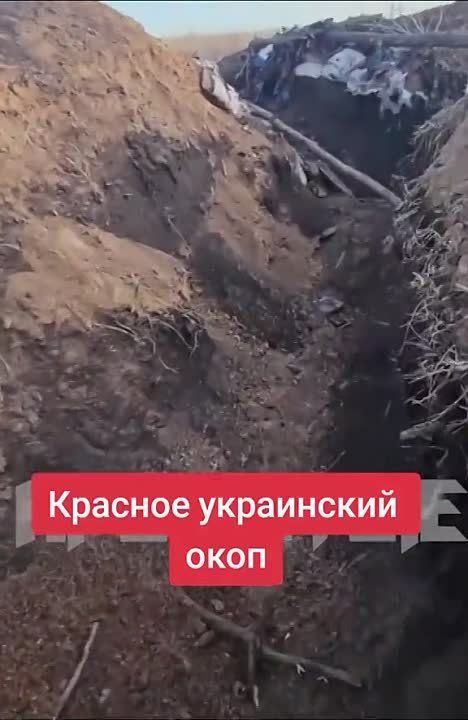 ������ �������: ���� ����� ����������� ����������� ���������� ����� � ������ �.�. ������� (����������) �� ����������� �����������