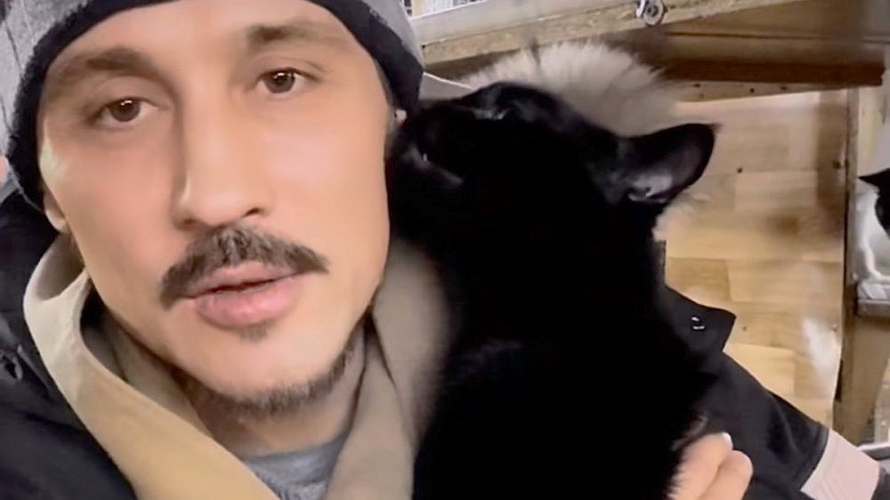 Билан взял кота Шахтера из приюта в Донецке, а Гулькина воспитывает аж восьмерых бездомных пушистиков