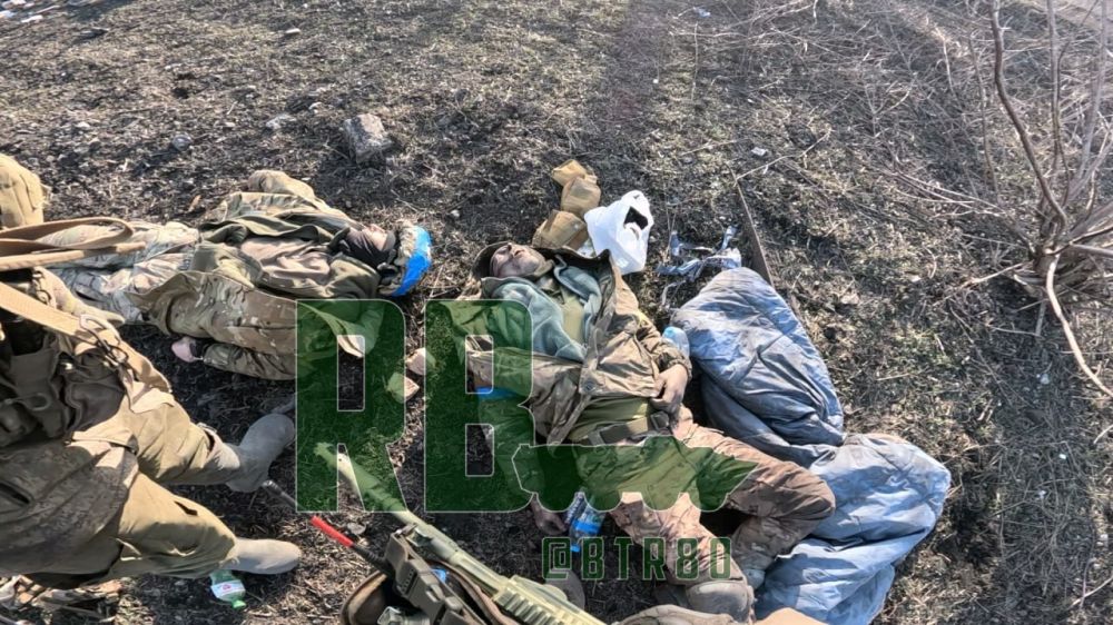 ���� �������: ���������� ���, ������������ �� ���������� �����������