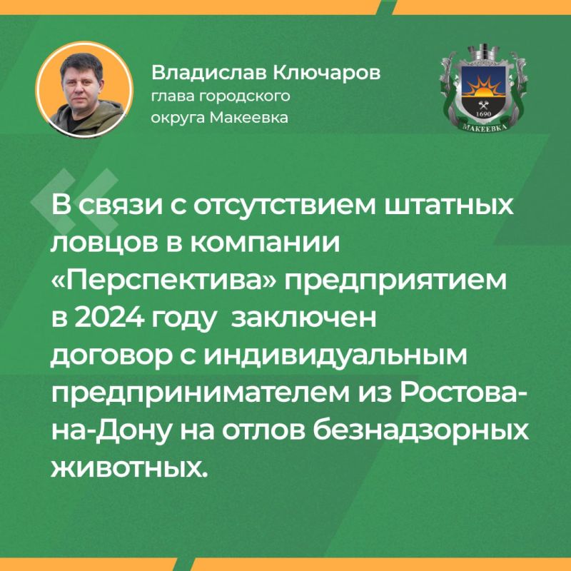 Итоги прямой линии главы муниципального образования городского округа Макеевка Владислава Ключарова: о регулировании численности безнадзорных собак