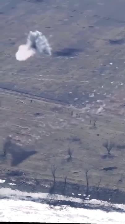 WarGonzo: ��� ������ ������������ ����� � ���������� ������