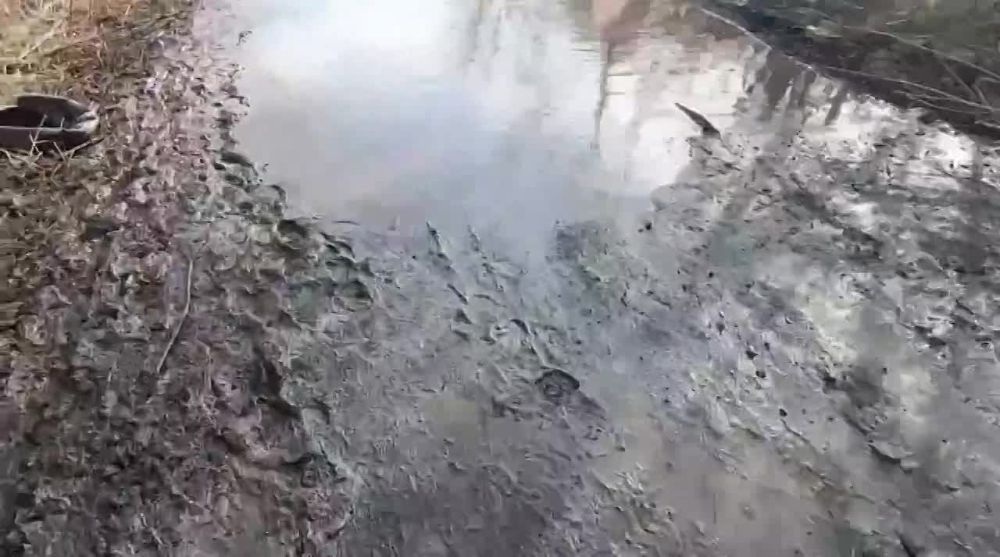 ���� ����� ����� ������ ������� ���������� ��������� ���� ���������� ������ �� ���������� ������������ ��� ��������� �������������