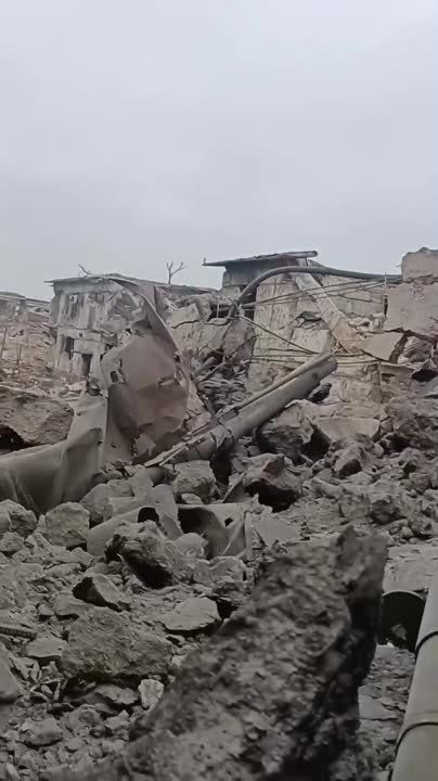     &quot;&quot; 155-   ,         ,  