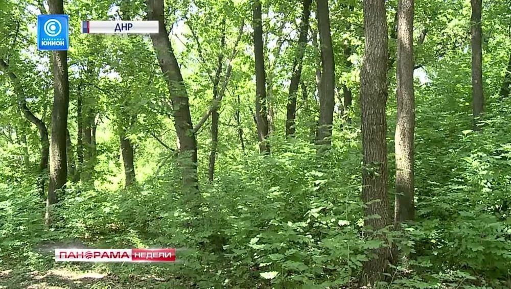 ����� ����� � ������. � ������� �� ������ ������ �� ����. � ��� �������? 03.03.2024, ��������� ������ � ������� �������