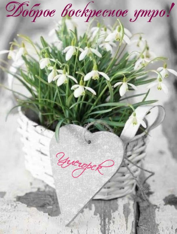 ������ �������: ������ ������� ���� ��������� ���!