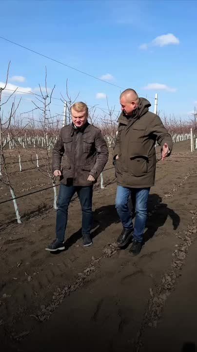 ����� ����������: ������� ������� � ������������ ������ ���