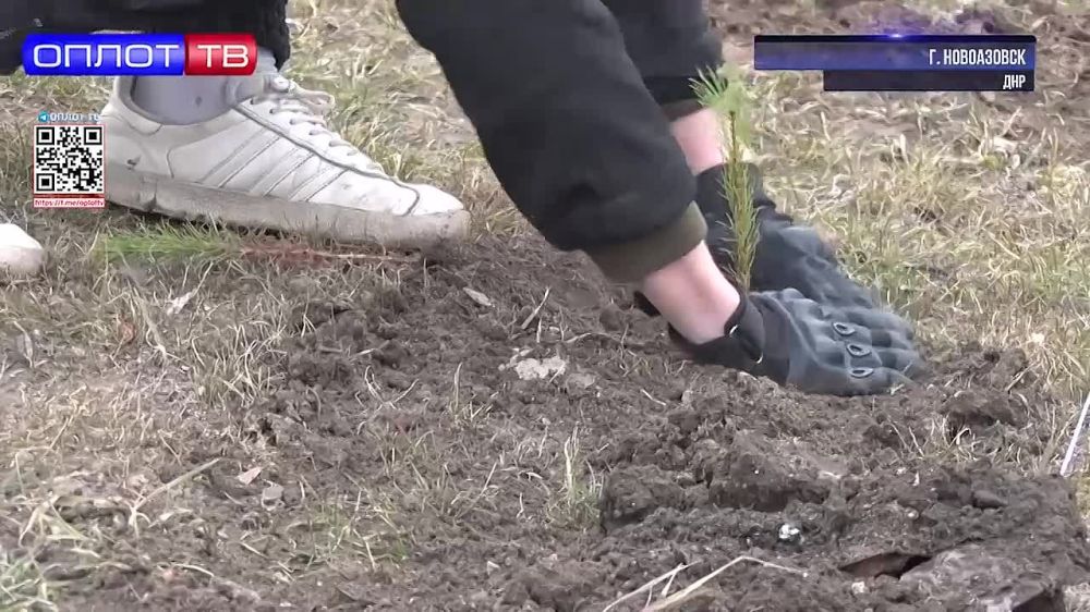 ��������������� ����������� ����� � �����������