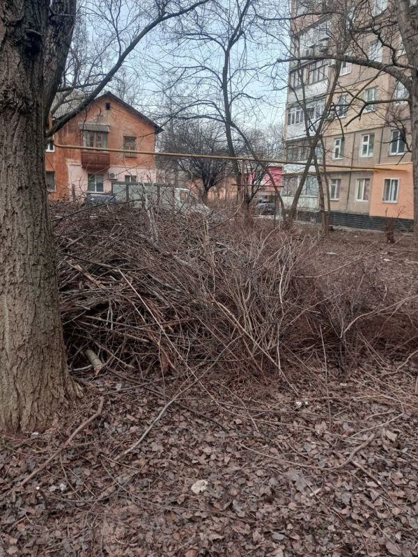 Василий Ткачук: Сегодня сотрудниками МУП АГД "Управляющая компания Калининского района г. Донецка" использовалась специализированная техника для переработки древесины в щепу на придомовой территории дома № 53 "а" по проспекту Мира