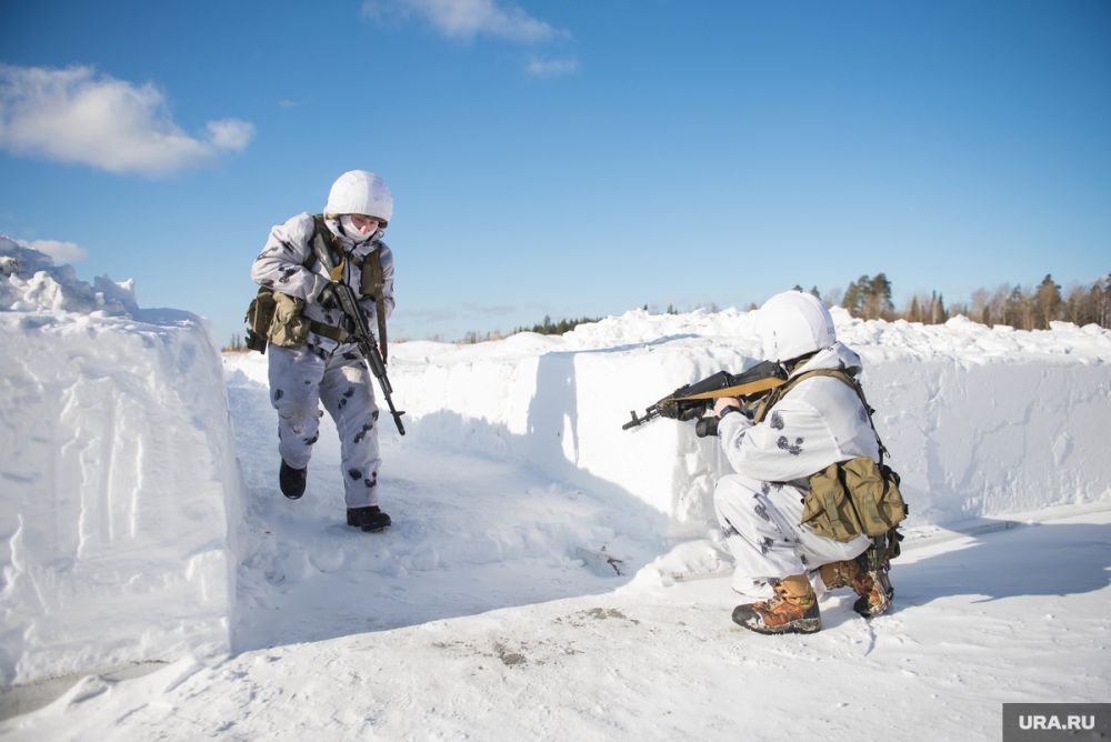 ��� ���� ������ ������������ ��������������