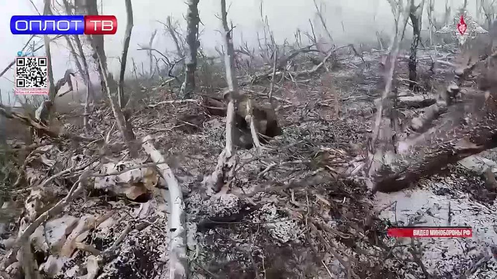 ����� ������ ���������� ���������� ��������