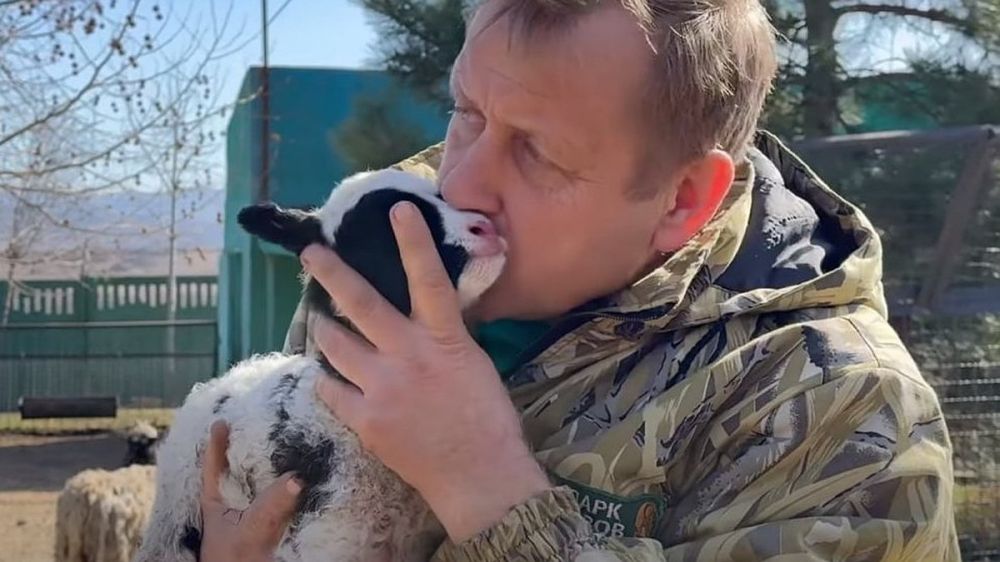 ����� ������ ����: �� ��� ���� � �������� ��������� ����� 200 �������� �� ����� ��������